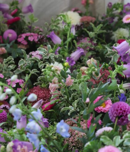 Group of different flowers