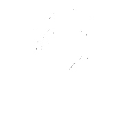 Hand drawn white tulip line drawing by Vanessa Jayne Design